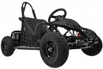 *SALE* Go Bowen 48 Volt 1000 Watt Electric Go Kart for Kids