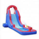 Inflatable Water Slide