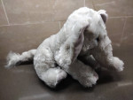 Elephants - Plush Collection (4)