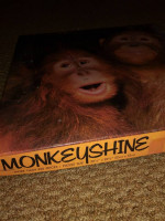 🐵 PUZZLE: Vintage 'Monkeyshine' 1982 by EATON - Orangutans
