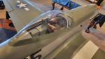 Top Flight P 51 with DLE 20 and electric retracts