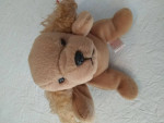 TY Beanie Babies "Spunky" The Long Eared Dog *New *with Tag 1-14-97