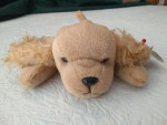 TY Beanie Babies "Spunky" The Long Eared Dog *New *with Tag 1-14-97