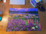 1000 pc Jigsaw Puzzles