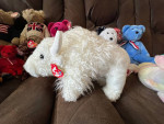Ty Beanie Buddy White Buffalo