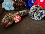 Ty Beanie Buddy White Buffalo