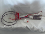 (5) Children's Games With Rackets