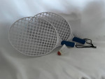 (5) Children's Games With Rackets