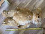 Wonderful Large Old Mohair Teddy Bear Jointed Glass Eyes
