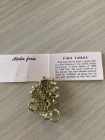 Pink Coral & Olivine Brooches