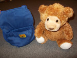 Teddy Bear & “Build-A-Bear” Carrier - $5.00 for Both