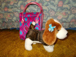 “Pucci Pups” – Beagle Puppy with Carrier Bag