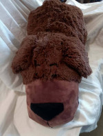 FlipaZoo Plush Cat Dog