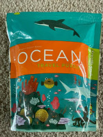 Ocean Travel Puzzle