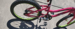 GIRLS BIKE 20 INCH NEXT GIRL TALK.