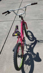 GIRLS BIKE 20 INCH NEXT GIRL TALK.