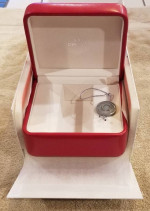 Omega Seamaster Planet Ocean