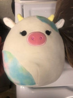Squishmallows New With Tags