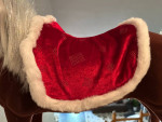 OG Velveteen Horse