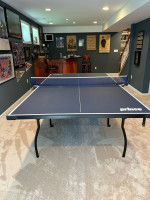 Prince Indoor Ping Pong Table