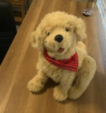 Joy For All- Robotic Golden Dog Companion Pet