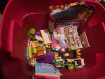 Friends Lego Set