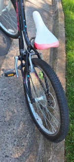 24" inch Trek Young Girl's Trail Bicycle