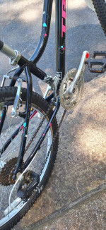 24" inch Trek Young Girl's Trail Bicycle