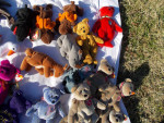MANY Beanie Babies