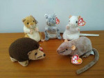 5 Rodents, TY Beanie Babies, creased hanging tags, each - $5