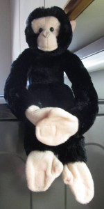 Stuffed Animals`