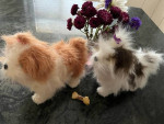 Adorable 2008 furReal Interactive Plush Puppy Dogs *Pair of Two* toys