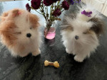 Adorable 2008 furReal Interactive Plush Puppy Dogs *Pair of Two* toys