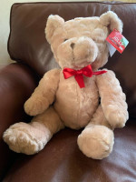 TEDDY BEAR BRAND NEW WITH TAGS