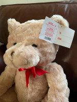TEDDY BEAR BRAND NEW WITH TAGS