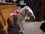 Baby doll size horse