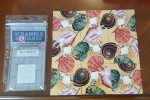 Scramble Squares Sea Shells Puzzel