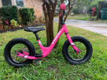 Aluminum Framed Bike Training Kick Bike - Trek "Kickster"