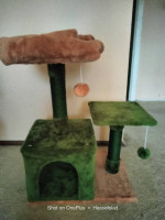 New cat tree