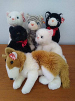 5 Cats & a Dog from TY Plush/Buddies Collection with creased Tag, each