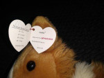 5 Cats & a Dog from TY Plush/Buddies Collection with creased Tag, each