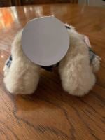SHAKESPEAREAN CHARLIE BEAR, CJ LOTSA LOVE BEAR, HUGME STUFFED DOG