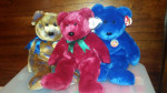 8 Large TYs, The Beanie Buddies