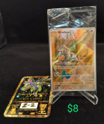 Pokemon items