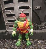 Ninja Turtle
