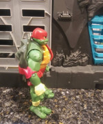 Ninja Turtle