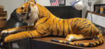 Huge Tiger plush stuffed animal life like excellent condition