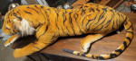 Huge Tiger plush stuffed animal life like excellent condition