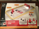 Carolina Hurricanes Backyard Rink Lego Style Blocks and Minifigures