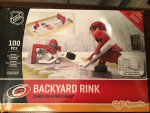Carolina Hurricanes Backyard Rink Lego Style Blocks and Minifigures